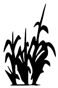 Nebraska Guard Logo