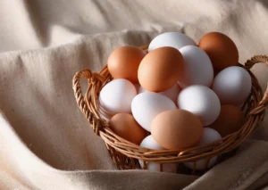 Egg Nutrition Facts