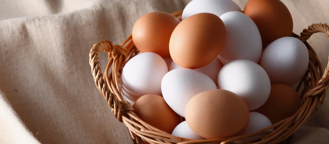 Egg Nutrition Facts